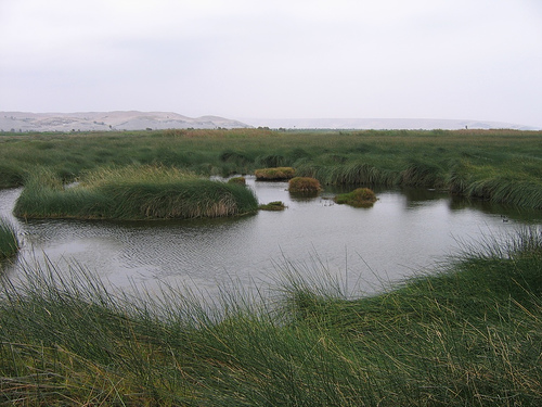 Santuario de las Lagunas de Mejía